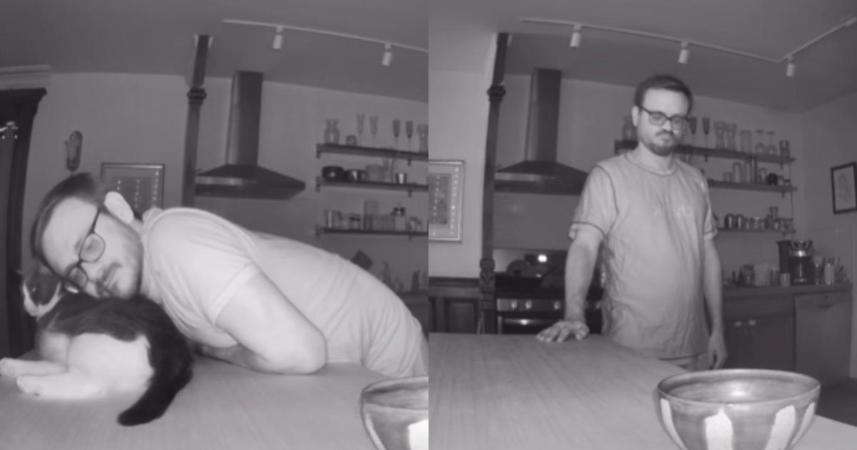 Man’s Gentle Method to Win Over a Cat Is Too Pure for Words