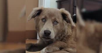Maizle arrives at foster home