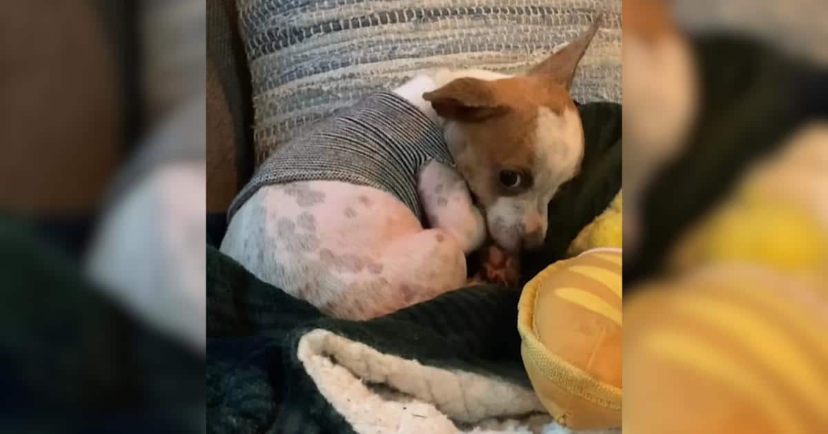 Scared and Alone, He Never Imagined Love Could Feel Like This