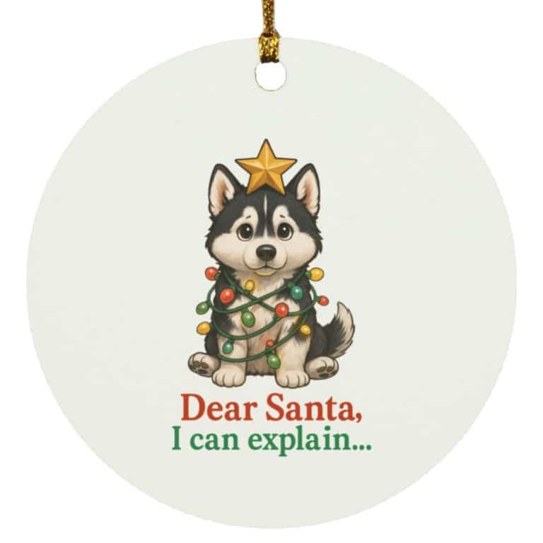 Dear Santa, I Can Explain Circle Ornament