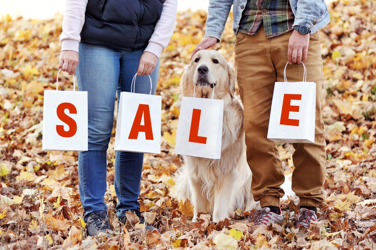 Save Big on Early Black Friday Deals for Dogs