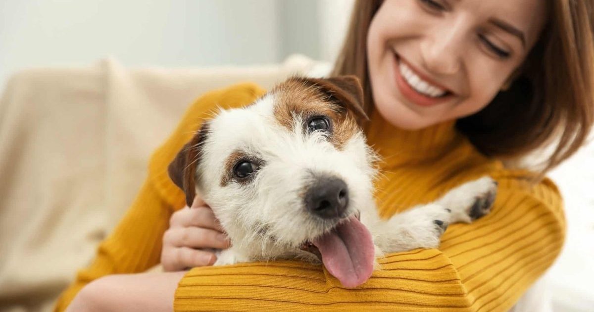 TropiClean’s HomeVet Line Delivers Vet-Quality Relief At Home