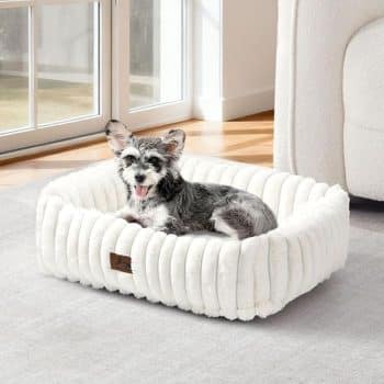 Washable Dog Bed for Small Medium Dogs