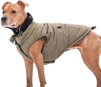 Spark Paws Dog Winter Jacket, Water-Resistant Coat