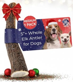 Devil Dog Pet Co. Elk Antlers for Dogs
