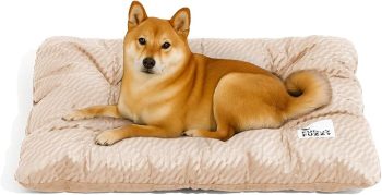 FUNNY FUZZY 2 in 1 Dog Crate