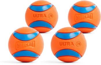 Chuckit! Ultra Ball Dog Toy
