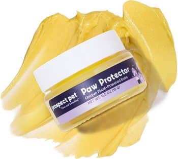 Paw Protector - Dog Paw Balm, Moisturizer & Soother