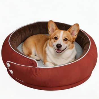 LELEFIDO Donut Dog Bed Medium Size Dog