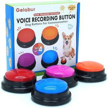 Set of 4 Dog Buttons for Communication