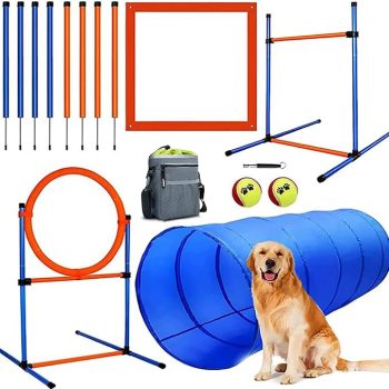Dog Agility Training Equipment