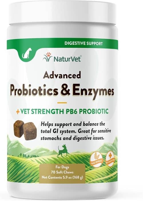 Image showcasing 7 Best Digestive Enzyme Supplements For Dogs - iHeartDogs.com