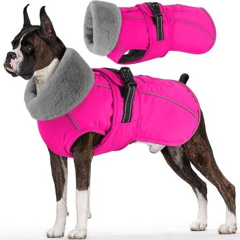 Dogcheer Dog Coat with Pocket