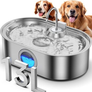 3.4Gal Dog Water Fountain for Large Dogs