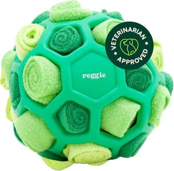 Reggie Forager Ball for Dogs