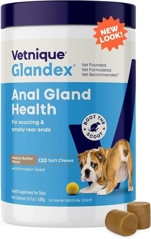 7 Best Digestive Enzyme Supplements For Dogs - iHeartDogs.com