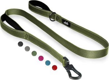 TwoEar 6FT 1IN Strong Green Dog Leash 