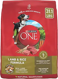 Purina ONE Dry Dog Food Lamb and Rice Formula