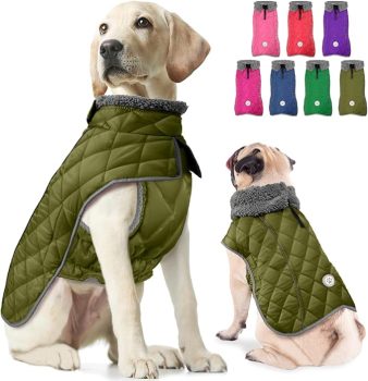 Fragralley Dog Winter Coat
