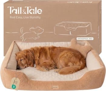 Cooling Orthopedic Dog Bed