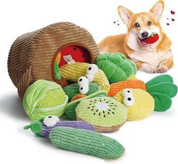 Nocciola Small Squeaky Crinkle Dog Toys