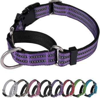 Martingale Dog Collar