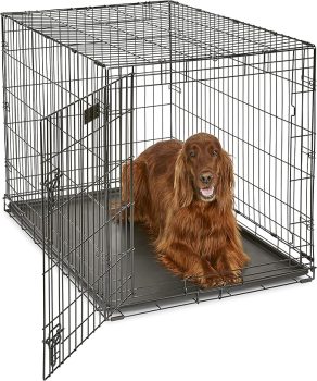 42-Inch iCrate Folding Dog Crate