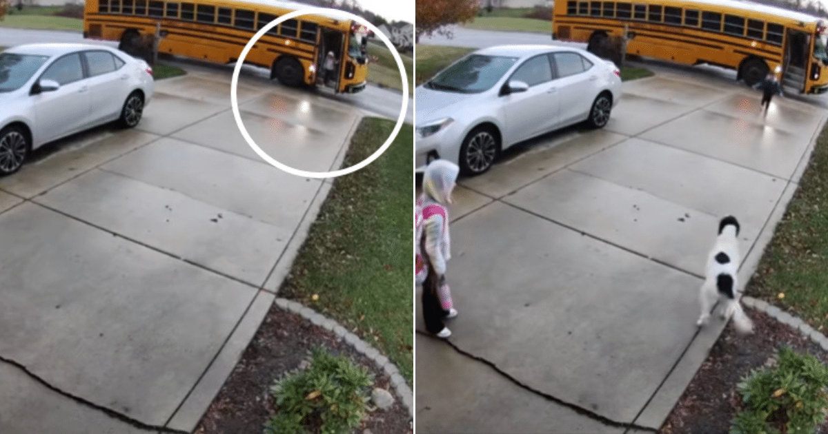 Ring Cam Captures Kids Returning From School, And The Dog Has A Favorite