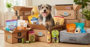 PetWireDaily — 13 Dog Products to Put on Amazon Auto-Ship in 2026