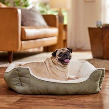 Frisco Faux Suede Bolster Cat & Dog Bed
