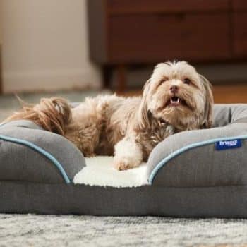 Frisco Plush Orthopedic Front Bolster Cat & Dog Bed