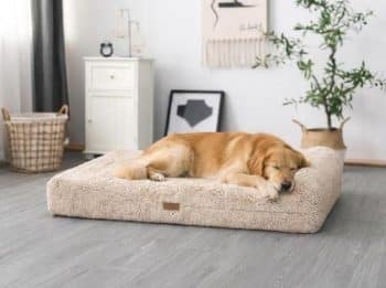KOPEKS Orthopedic Pillow Dog Bed with Removable Cover