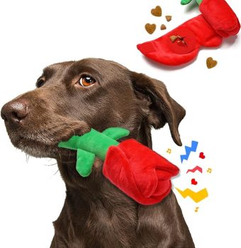 Rose Puzzle Dog Toy