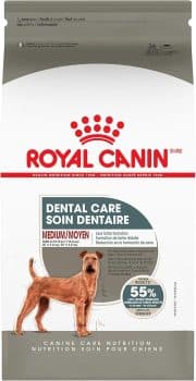 Royal Canin Canine Care Nutrition Medium Dental Care Adult Dry Dog Food