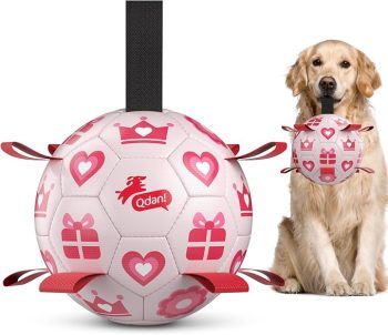 QDAN Valentines Gift Dog Toys