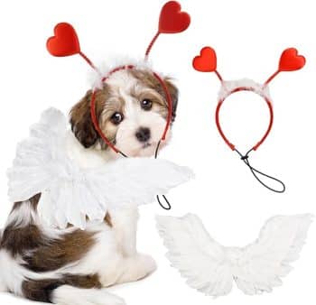 Dog Sweeat Heart Headband Valentin's Day Costume Set