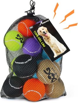 INSUM Squeaky Tennis Balls for Dogs
