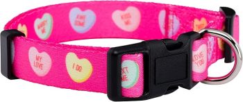 Native Pup Valentine’s Dog Collar