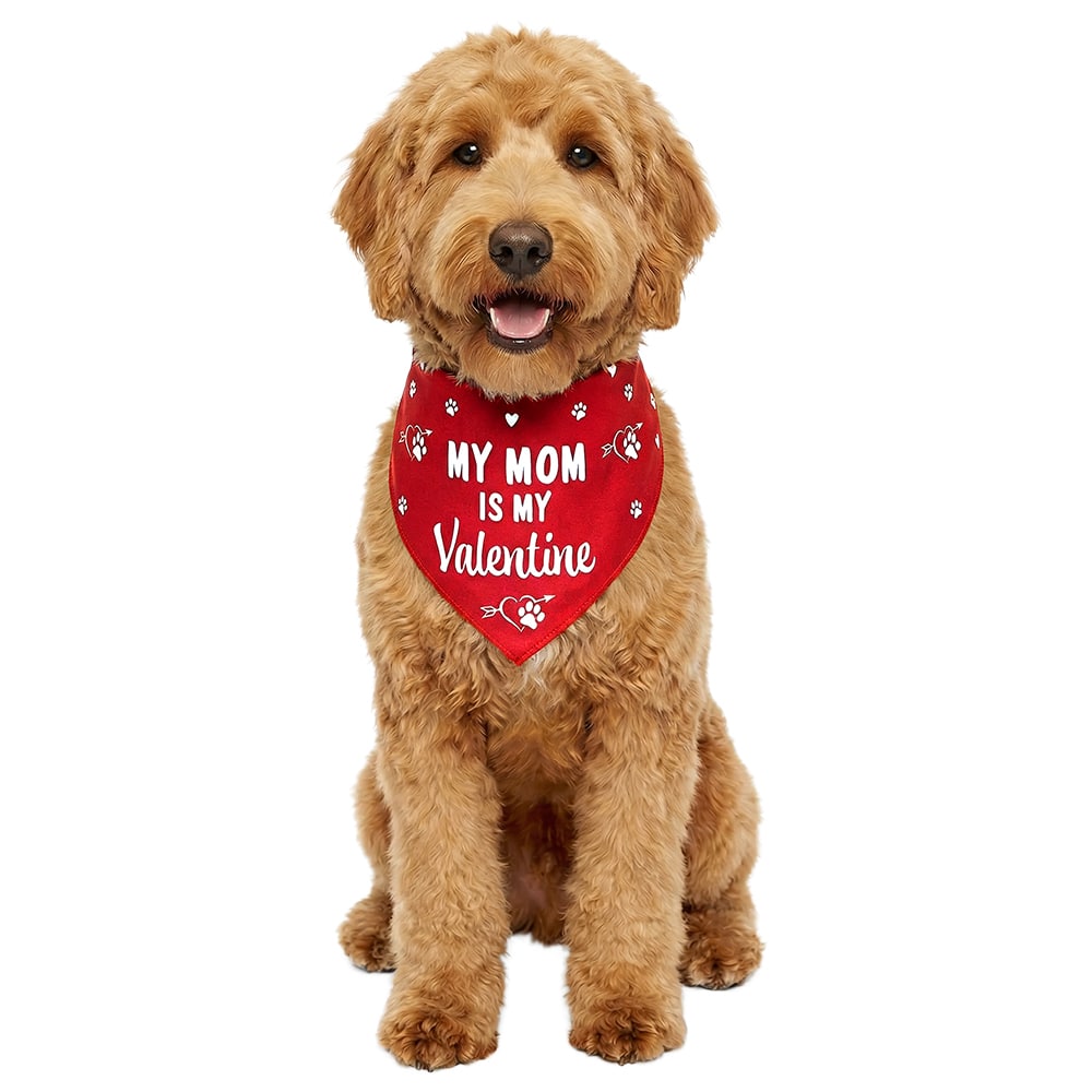 SOLD OUT - Cupid’s Crazy Dog Lady - Valentine's Day Set- Helps Feed Hungry Dogs In Need - Image 6