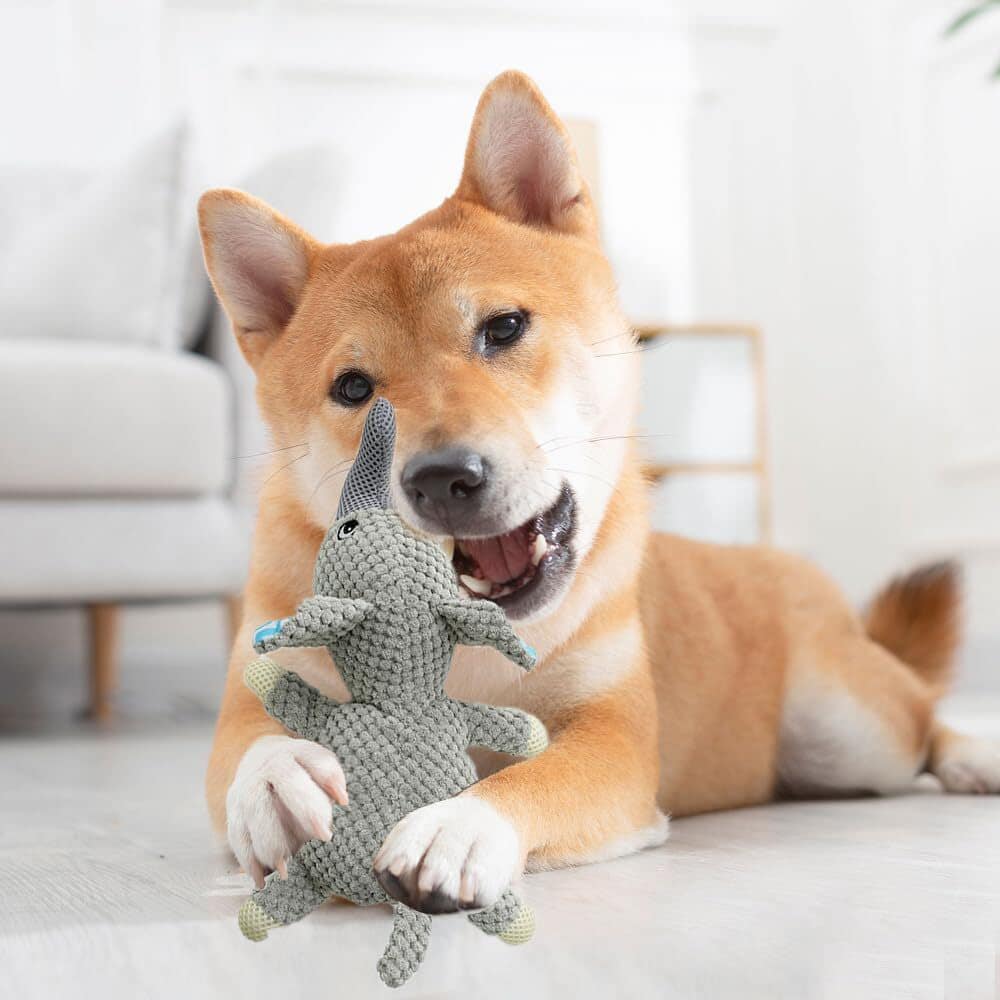 Secondary Product Image