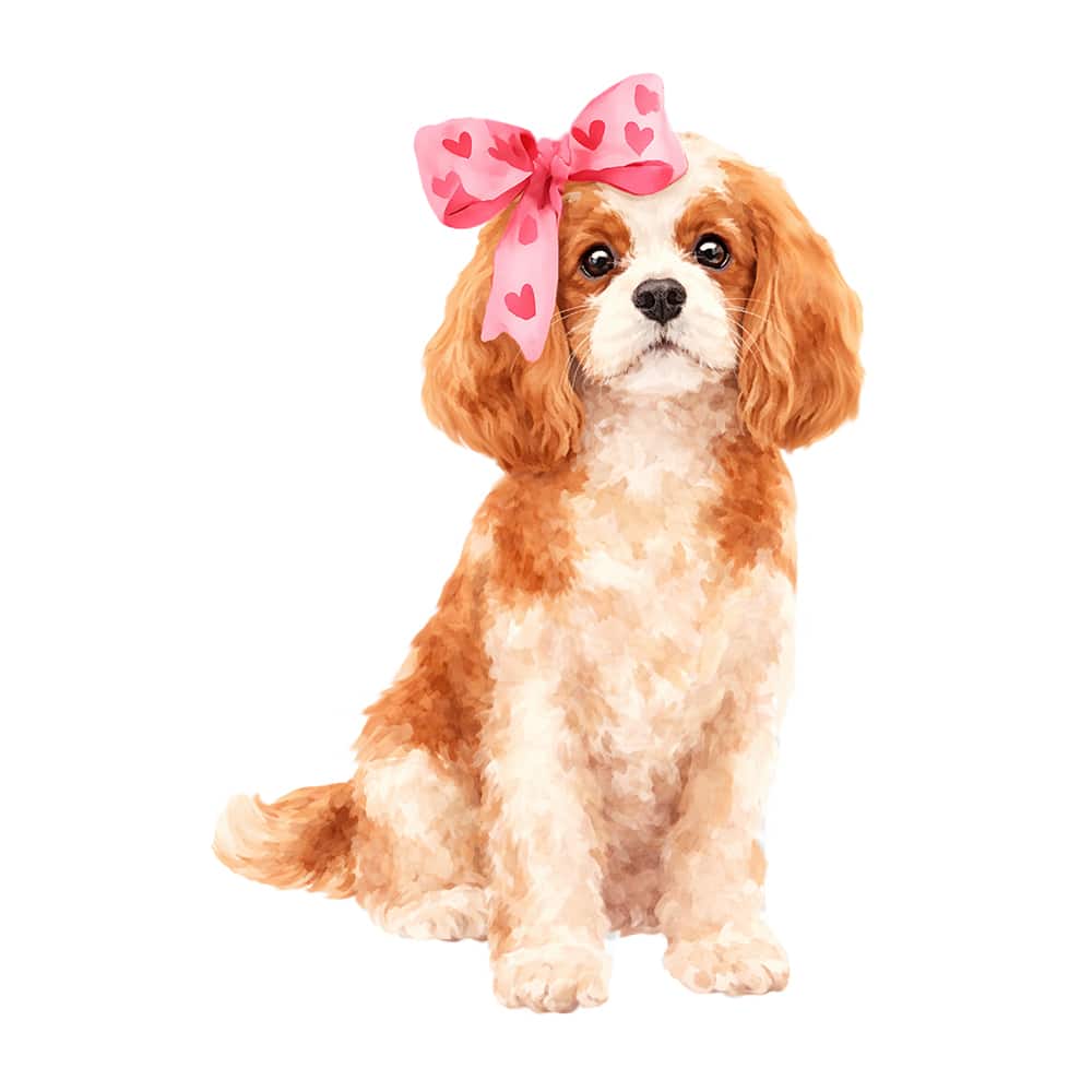 Secondary Product Image