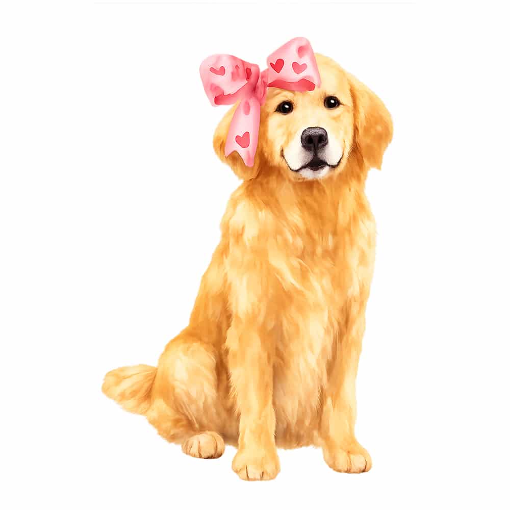 Secondary Product Image