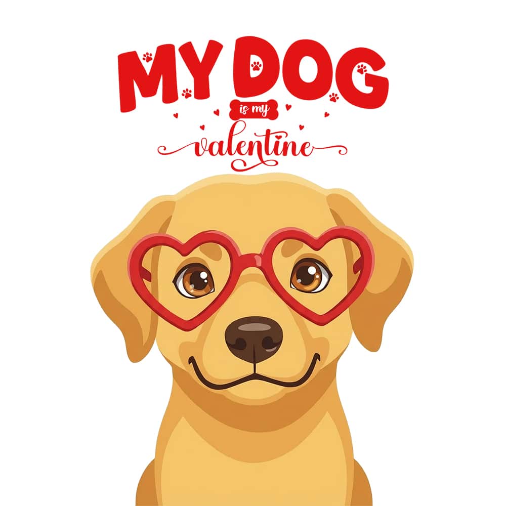 Secondary Product Image