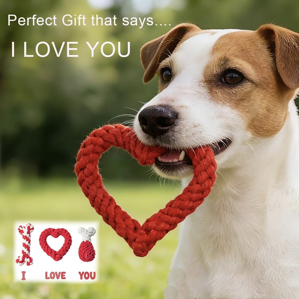 SOLD OUT - Cupid’s Crazy Dog Lady - Valentine's Day Set- Helps Feed Hungry Dogs In Need - Image 9