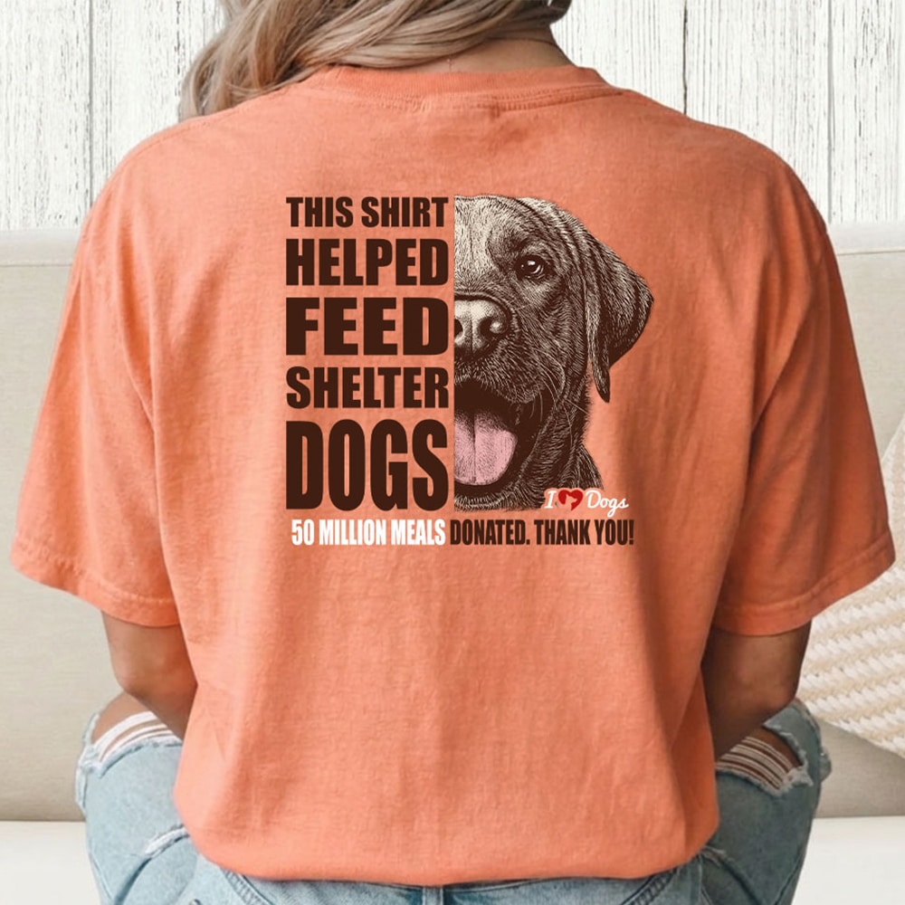 Comfort Colors 50 Million Meals Donated! Vintage Washed Tee - Terracotta