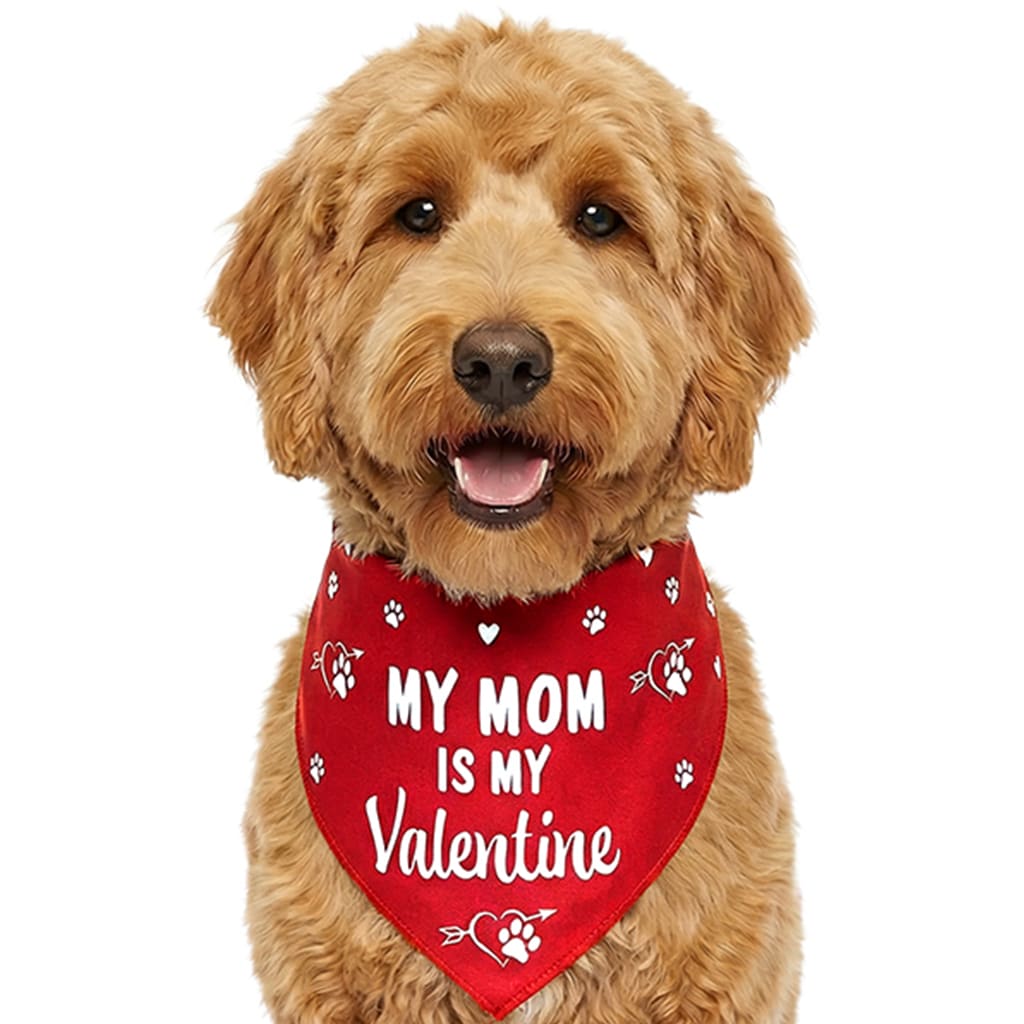 My Mom Is My Valentine Dog Bandana (S, M, L) - Helps Feed Hungry Shelter Dogs
