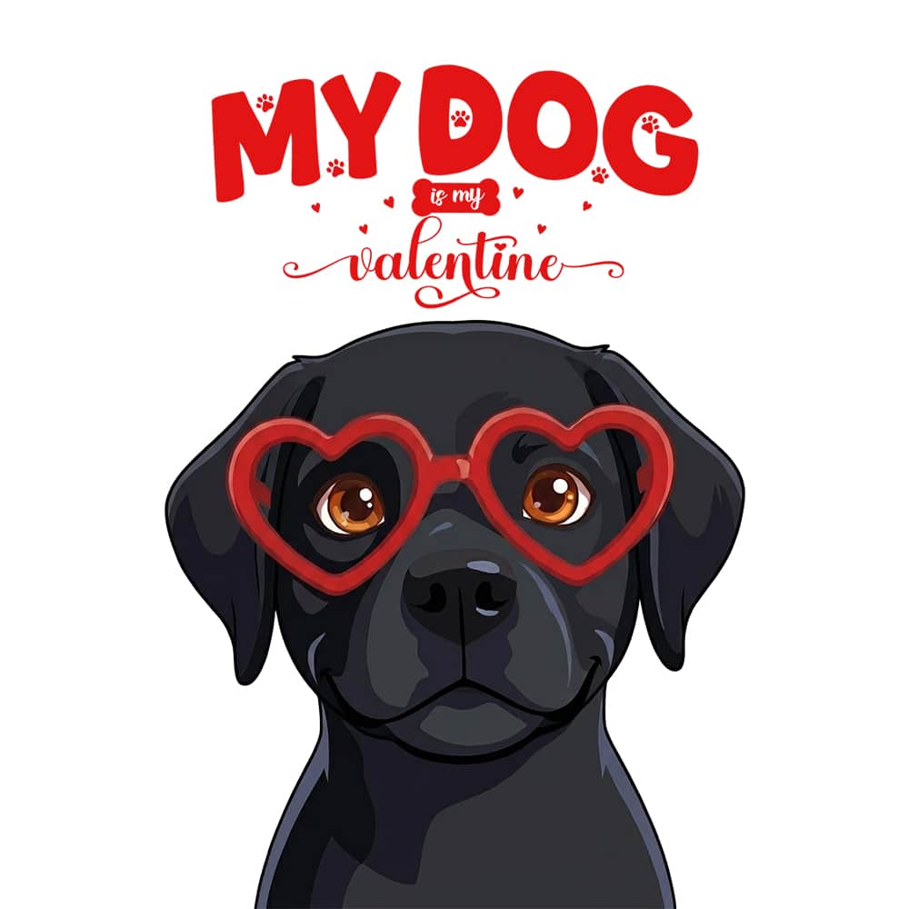 Secondary Product Image