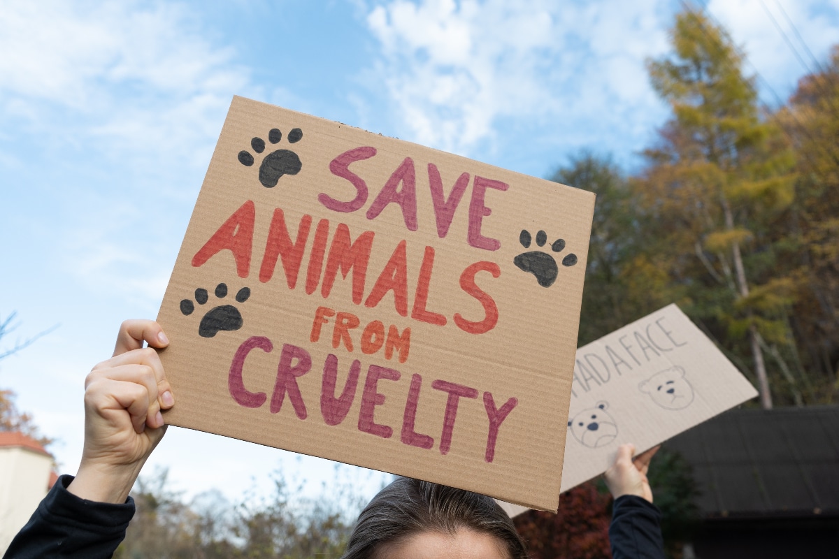 People holding Stop Animal Cruelty signs at rally
