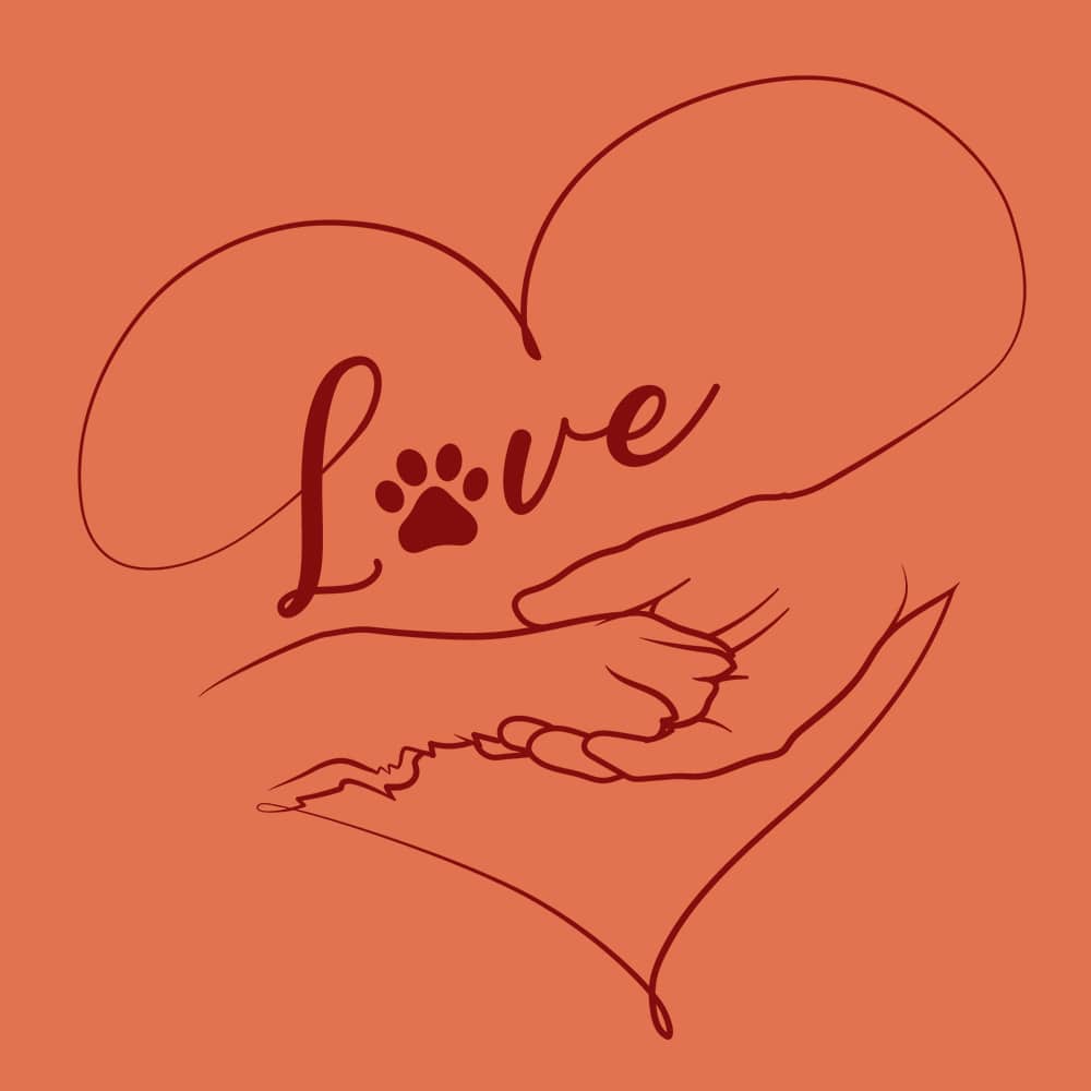 Secondary Product Image