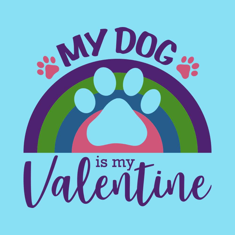 Secondary Product Image